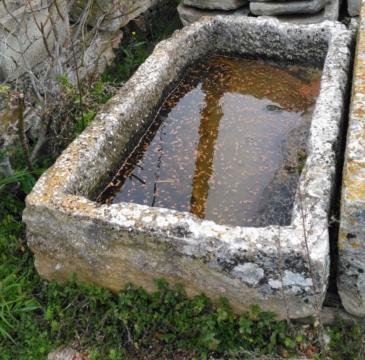 ANTIQUE RECLAIMED FRENCH LIMESTONE TROUGH ANTIQUE RECLAIMED FRENCH LIMESTONE TROUGH
