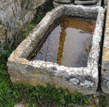 ANTIQUE RECLAIMED FRENCH LIMESTONE TROUGH