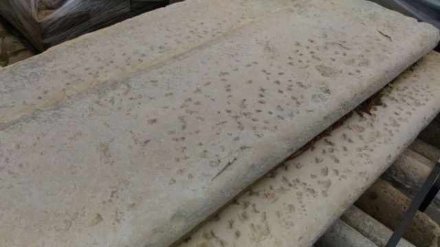 Poolside in Reclaimed Stone Steps Poolside in Reclaimed Stone Steps